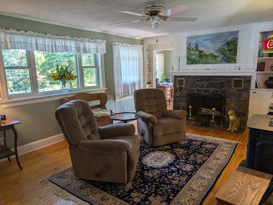 Fireplace, Interior, Wood Texture Flooring