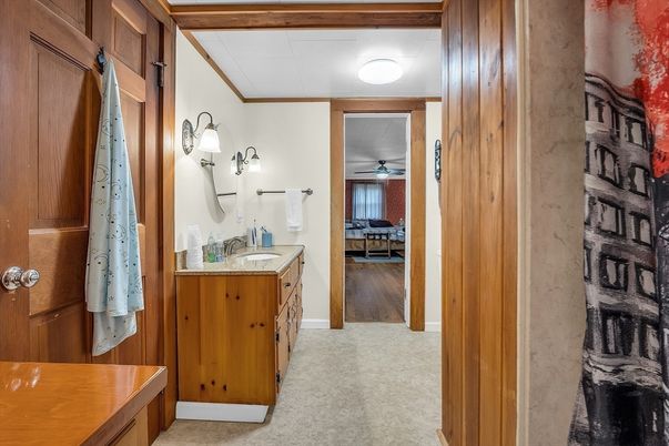 Bathroom, Interior, Wood Texture Flooring