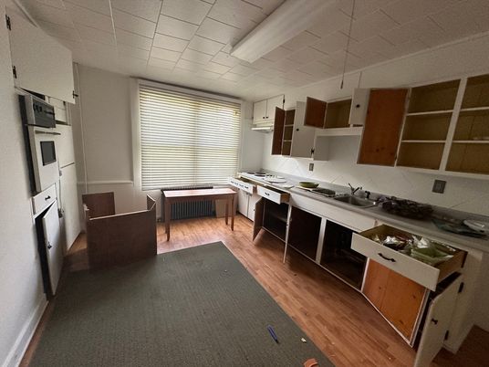 Interior, Kitchen, Living room, Pendant Lights, Stainless Steel Appliances, Wood Texture Flooring