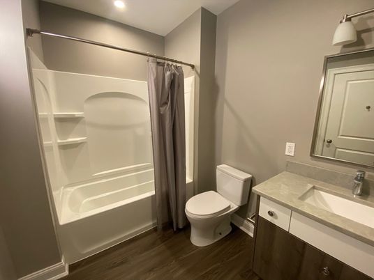 Bathroom, Interior, Recessed Lighting, Wood Texture Flooring