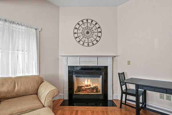 Fireplace, Interior, Wood Texture Flooring
