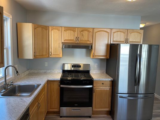 Interior, Kitchen, Stainless Steel Appliances, Wood Texture Flooring
