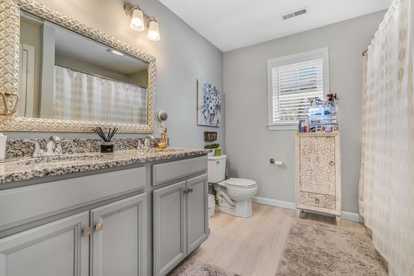 Bathroom, Interior, Wood Texture Flooring