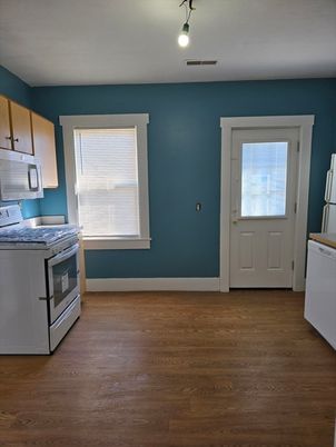 Interior, Kitchen, Washer, Wood Texture Flooring
