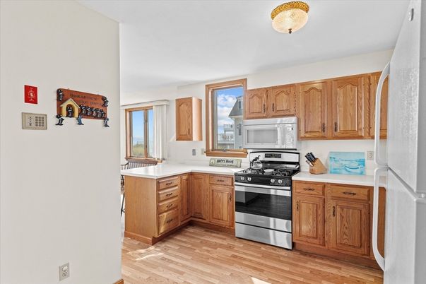 Interior, Kitchen, Stainless Steel Appliances, Wood Texture Flooring