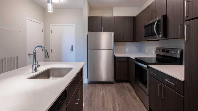 Interior, Kitchen, Stainless Steel Appliances, Wood Texture Flooring