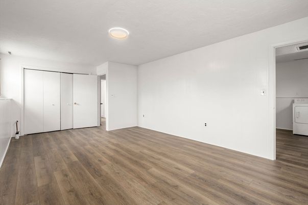 Empty room, Interior, Washer, Wood Texture Flooring