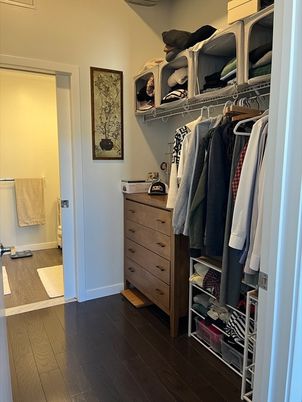 Interior, Walk-in Closets, Wood Texture Flooring