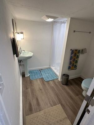 Bathroom, Interior, Wood Texture Flooring