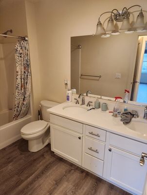 Bathroom, Dual Sink Vanities, Interior, Wood Texture Flooring
