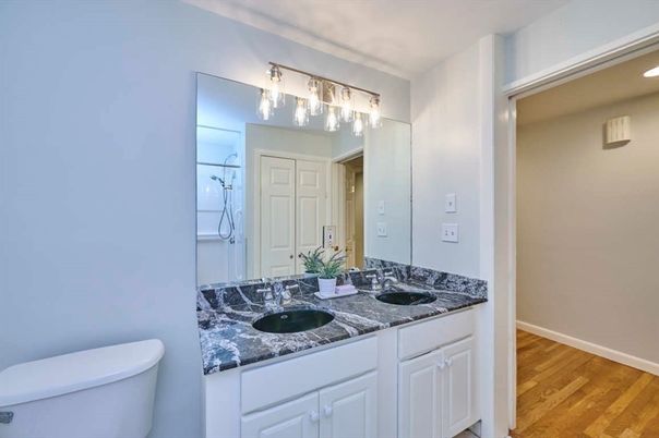 Bathroom, Dual Sink Vanities, Interior, Wood Texture Flooring
