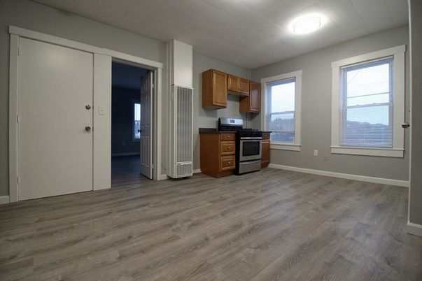Empty room, Interior, Kitchen, Stainless Steel Appliances, Wood Texture Flooring