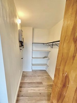 Interior, Walk-in Closets, Wood Texture Flooring