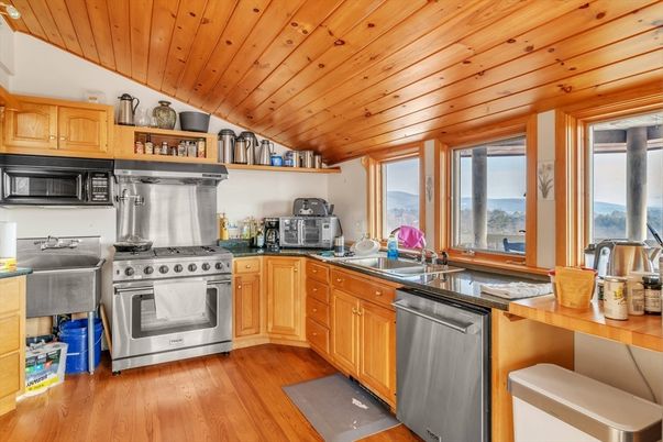 Interior, Kitchen, Stainless Steel Appliances, Wooden Ceilings, Wood Texture Flooring
