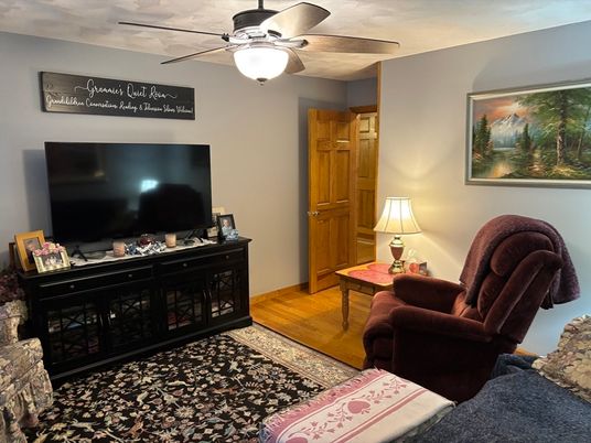Interior, Living room, Wood Texture Flooring