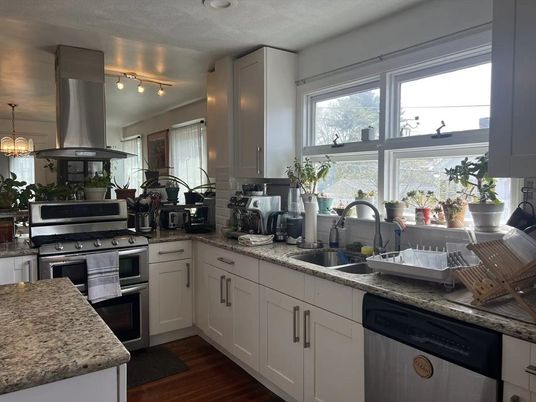 Interior, Kitchen, Pendant Lights, Stainless Steel Appliances, Wood Texture Flooring