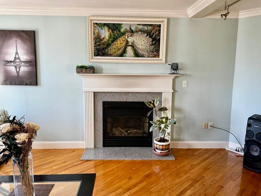 Fireplace, Interior, Wood Texture Flooring