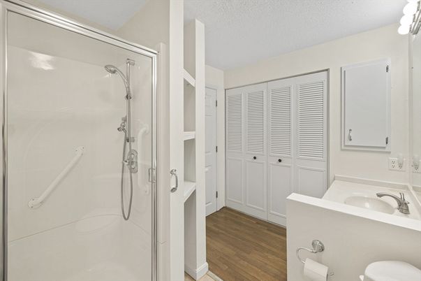 Bathroom, Interior, Wood Texture Flooring