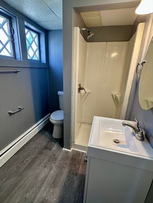 Bathroom, Interior, Wood Texture Flooring