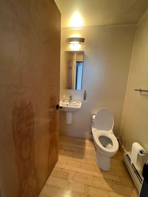 Bathroom, Interior, Wood Texture Flooring