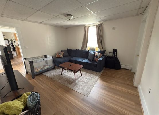 Interior, Living room, Wood Texture Flooring