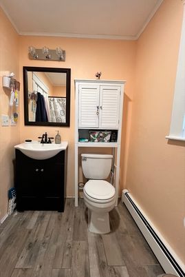 Bathroom, Interior, Wood Texture Flooring