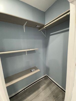 Interior, Walk-in Closets, Wood Texture Flooring