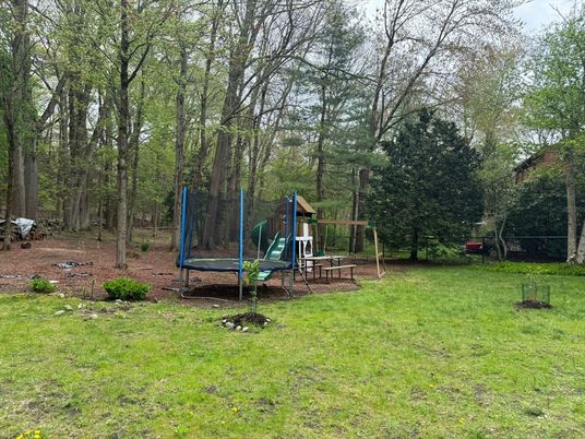 Backyard, Exterior, Playground