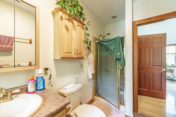 Bathroom, Interior, Wood Texture Flooring