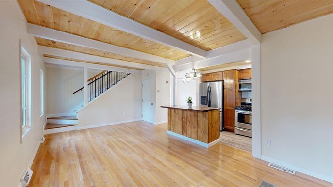 Interior, Kitchen, Stainless Steel Appliances, Wooden Ceilings, Wood Texture Flooring