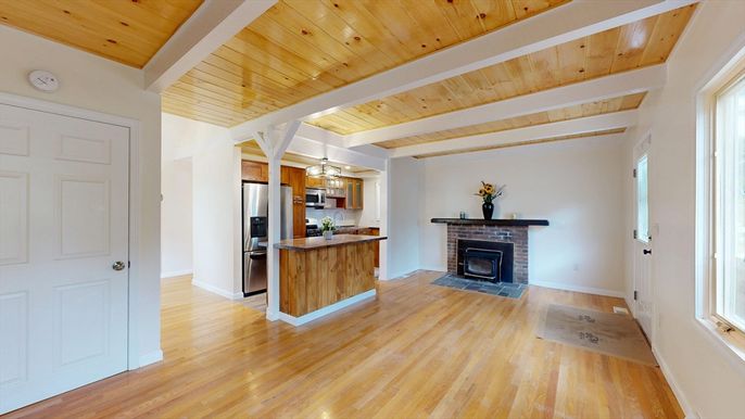 Fireplace, Interior, Kitchen, Stainless Steel Appliances, Wooden Ceilings, Wood Texture Flooring