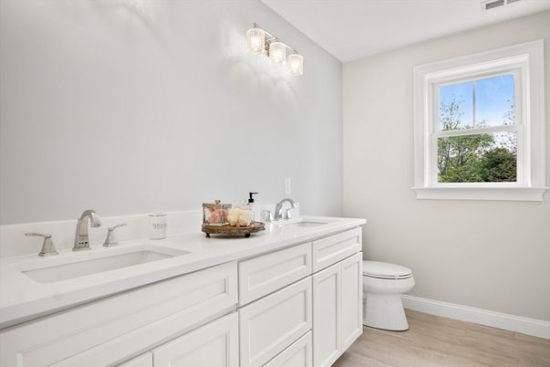 Bathroom, Dual Sink Vanities, Interior, Wood Texture Flooring