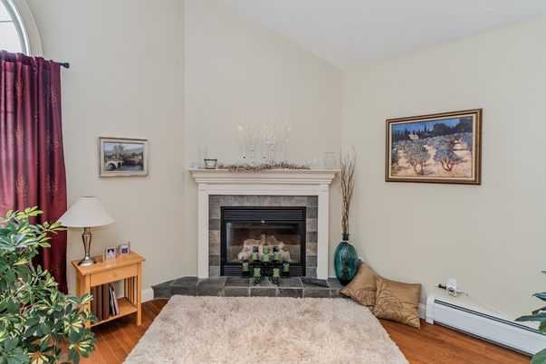 Fireplace, Interior, Wood Texture Flooring