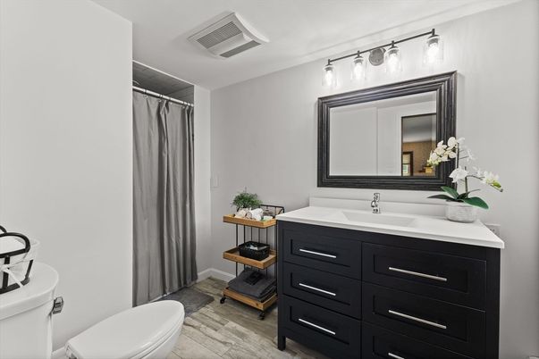 Bathroom, Interior, Wood Texture Flooring