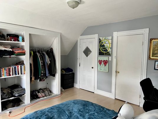 Interior, Walk-in Closets, Wood Texture Flooring