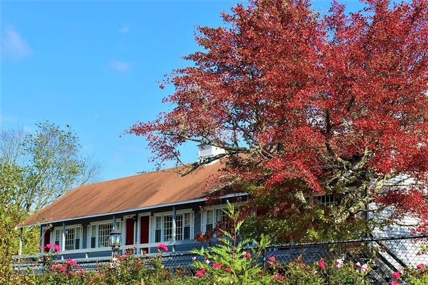 Exterior, Facade, Cape Cod