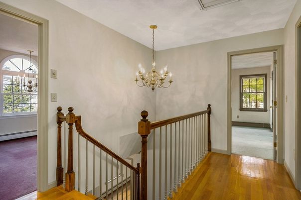 Chandelier, Interior, Wood Texture Flooring