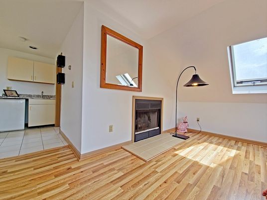 Fireplace, Interior, Washer, Wood Texture Flooring