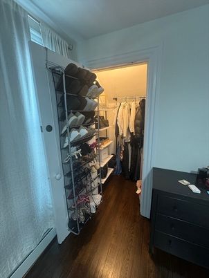 Interior, Walk-in Closets, Wood Texture Flooring