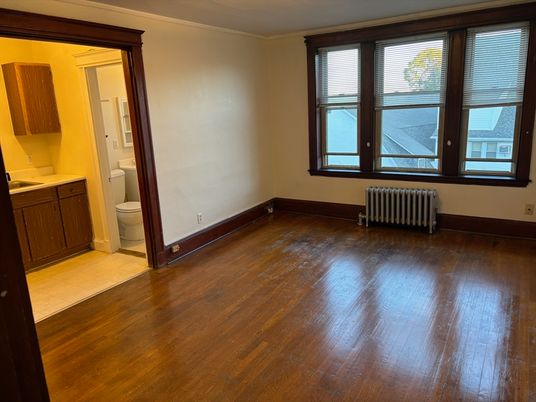 Bathroom, Empty room, Interior, Wood Texture Flooring