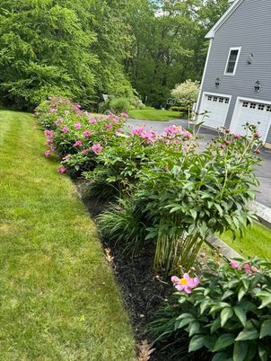 Backyard, Detached Garage, Exterior