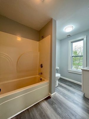 Bathroom, Interior, Wood Texture Flooring