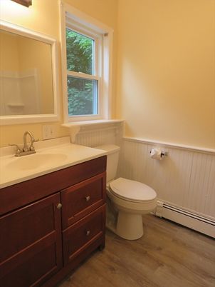 Bathroom, Interior, Wood Texture Flooring