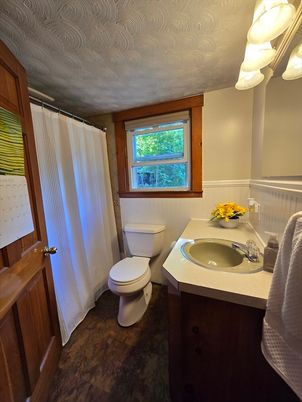 Bathroom, Interior, Wood Texture Flooring