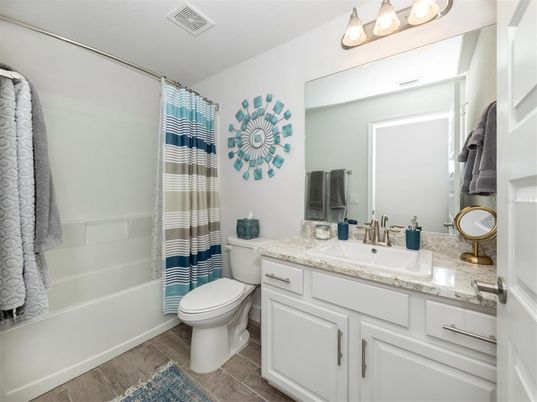 Bathroom, Interior, Wood Texture Flooring