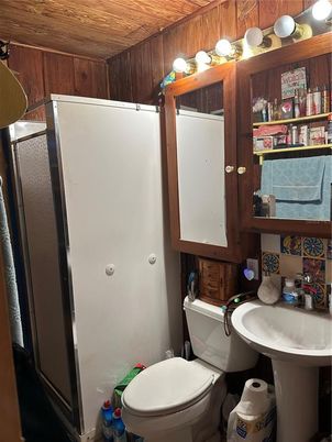 Bathroom, Interior, Wooden Walls