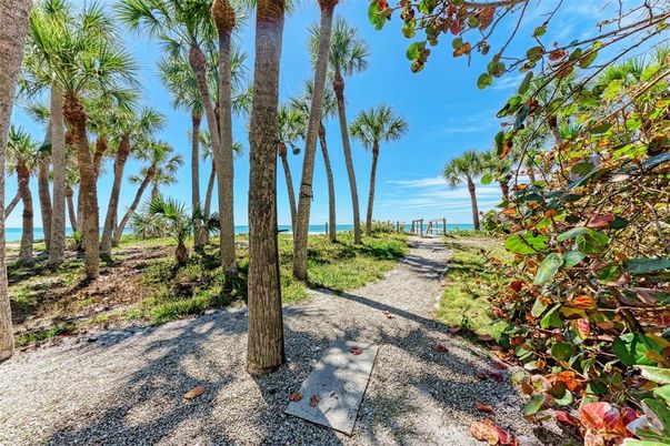 Backyard, Exterior, Water