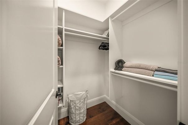 Interior, Walk-in Closets, Wood Texture Flooring