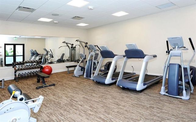 Fitness Equipment, Gym, Interior, Recessed Lighting