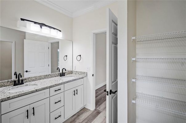 Bathroom, Dual Sink Vanities, Interior, Wood Texture Flooring